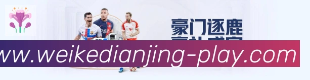 App界面